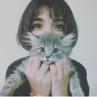 18张清新感抱猫女生头像 治愈又好看的女猫同框头像合集