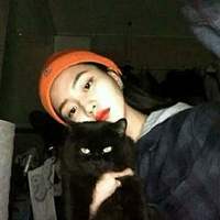 18张清新感抱猫女生头像 治愈又好看的女猫同框头像合集