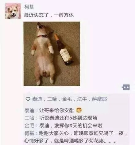 汪星人版朋友圈日常表情包合集