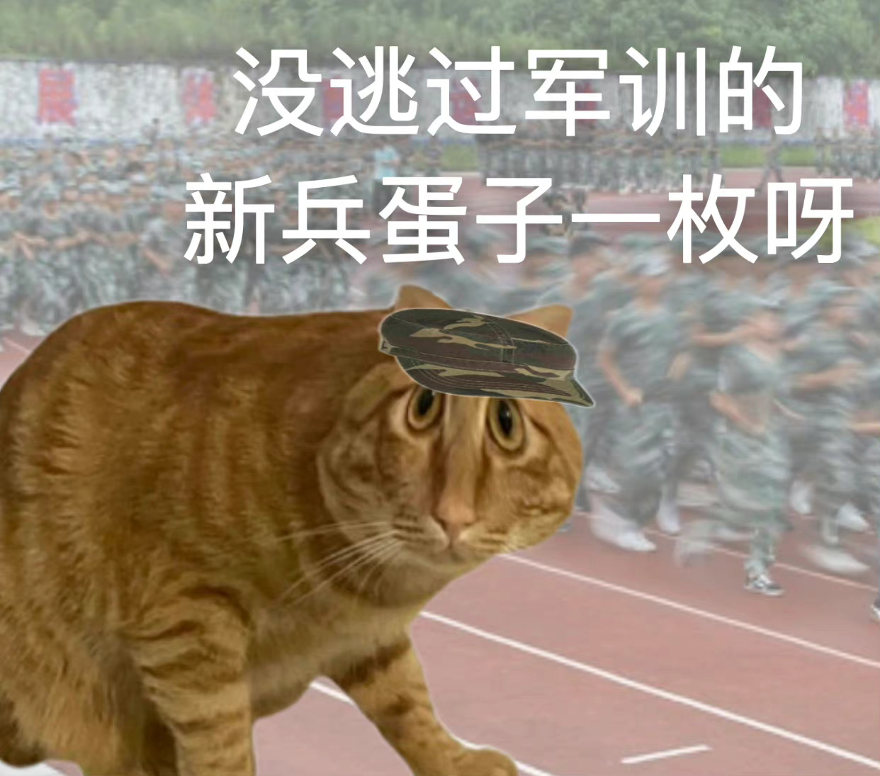 开学季专属表情包合集