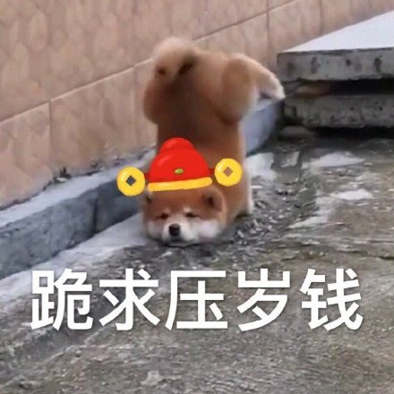 过年拜年不用愁！这套表情包帮你轻松拿捏场面