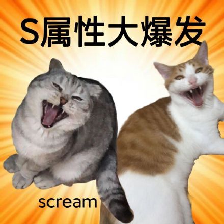 斗图神器！S属性大爆发表情包合集来啦