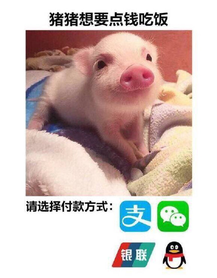 7月22日热门表情包原图合集来啦