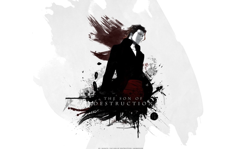 《无人认出的蓝染惣右介 冬日2K高清壁纸》