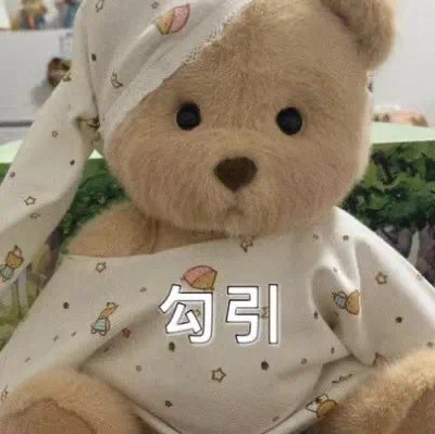 软萌又会整活！毛绒玩具玩偶表情包合集