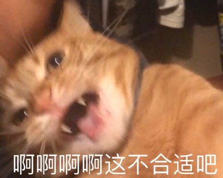 铲屎官看过来！这套喵星人沙雕表情包直接戳中笑点