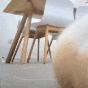 聊天斗图不用愁！这款实用表情包合集收好啦