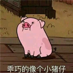 刷到这套猪猪表情包，谁看了不说一句可爱