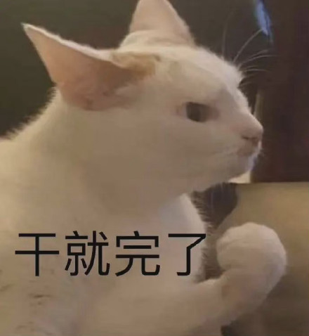 聊天斗图必备！这套沙雕猫咪表情包太绝了