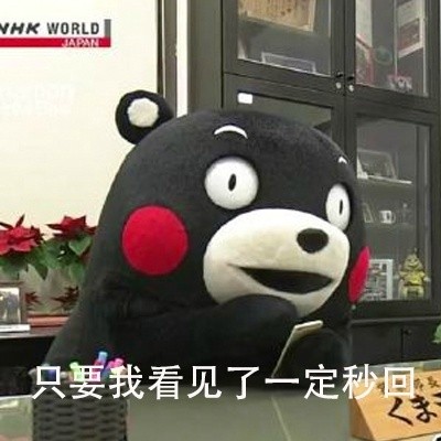 熊本熊版恋爱关系表白表情包来啦