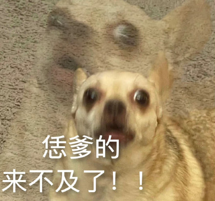 开学季专属表情包合集