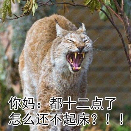 暑假在家的真实日常，这套表情包精准戳中你了吗