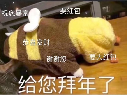 拜年互怼表情包来啦！给您拜年了 给您拜回去