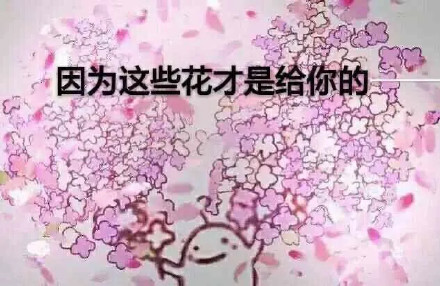 这款聊天表情包太有意思！看到这朵花没丢掉都不给你因为这些花才是给你的