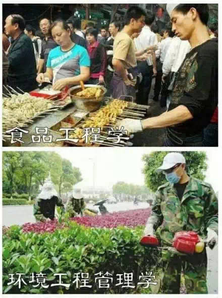 你的专业毕业能做什么？一组对比表情包帮你捋明白