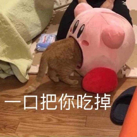 软萌星之卡比表情包来啦！