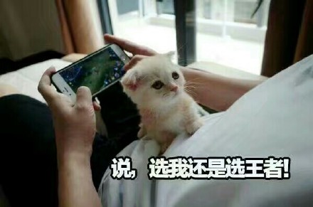 快醒醒！你是不是又躲在摸鱼玩王者？