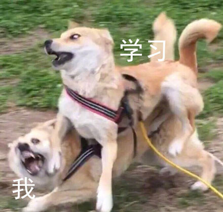 打工人、考试党同款！