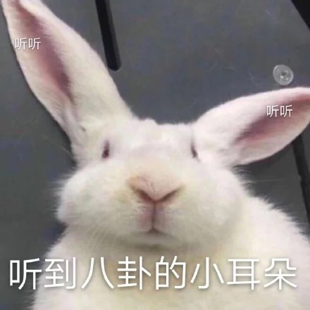 聊天斗图必备！这套兔兔表情包太好用了