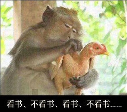 猴哥，放开那只鸡！这套犹豫表情包太上头了