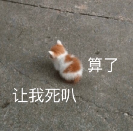 聊天斗图必备！这套可爱萌宠表情包太好用了