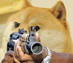 斗图常备！神烦柴犬表情包合集来了