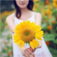 森系向日葵女生头像合集！23张唯美氛围感头像直接存