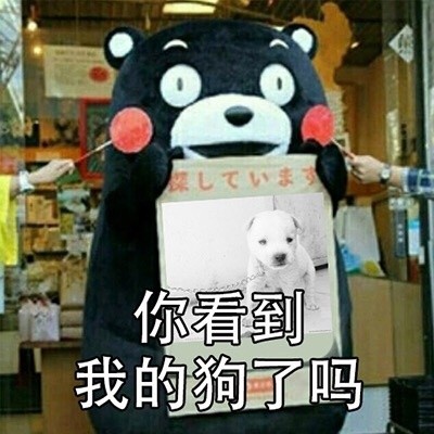谁见过我男朋友？这套熊本熊寻人表情包火了