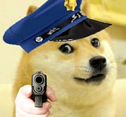 斗图常备！神烦柴犬表情包合集来了