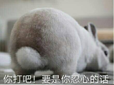 8月12日热门表情包合集来了