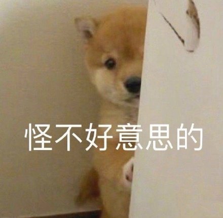 超实用害羞感表情包合集来了