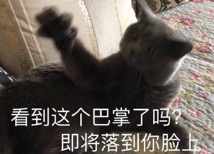 猫咪表情包第十弹来啦！