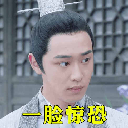 蔡知辰GIF动图表情包合集