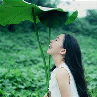 15张氛围感拉满！森系意境女生清新头像合集