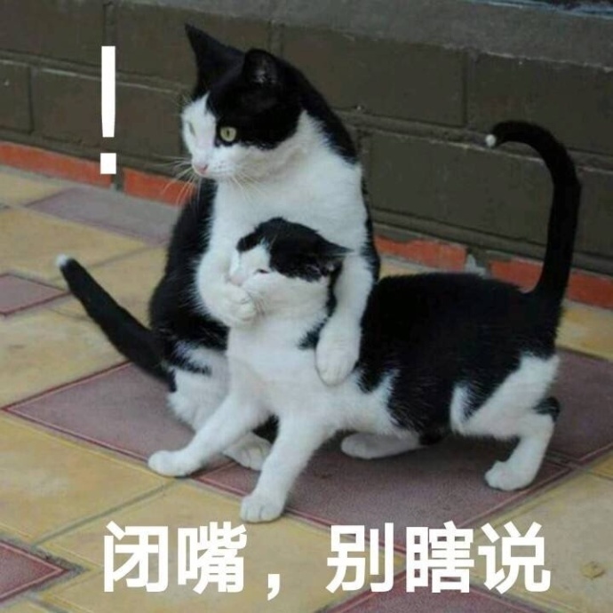 别瞎说，我们俩感情好着呢