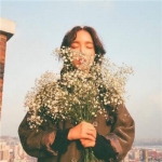 女生手捧满天星的高清唯美头像合集 12张氛围感拉满