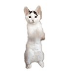 聊天斗图必备！超全小动物GIF动图表情包合集