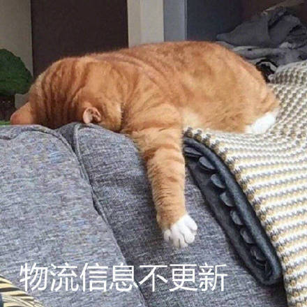等快递的真实状态被这套表情包拿捏了