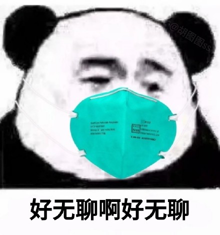 过年假期的我表情包合集