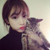12张治愈感拉满！女生抱小猫的头像合集来了