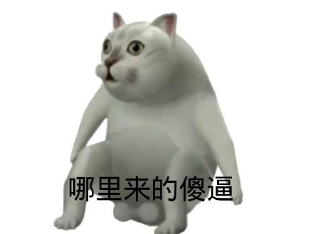 Mur猫憨憨猫表情包合集来啦