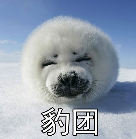 社会我豹哥！这套海豹表情包太萌了