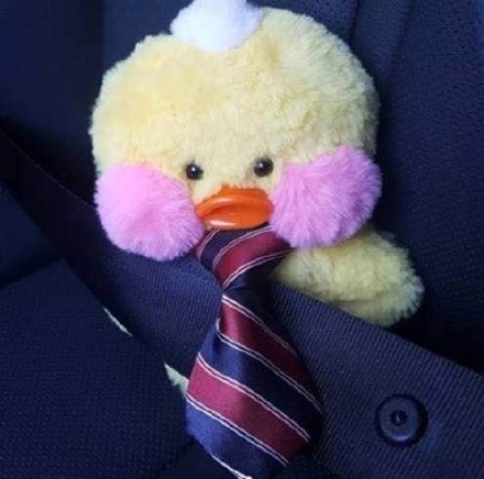 超火的玻尿酸鸭表情包来啦