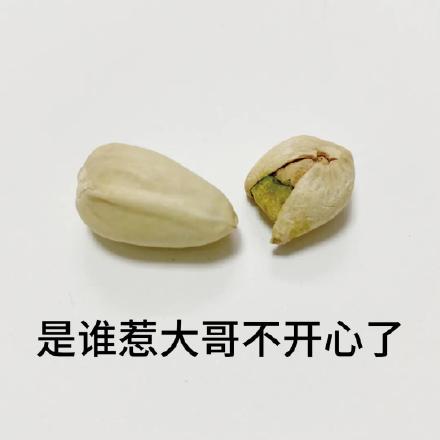 聊天必备！这套开心果表情包太好用了