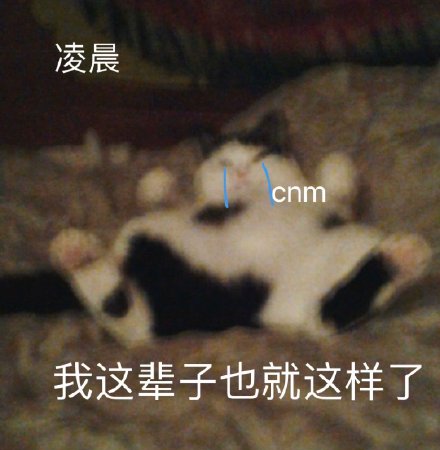 铲屎官看过来！这套喵星人沙雕表情包直接戳中笑点