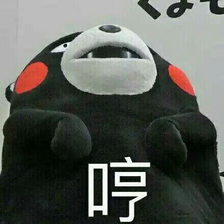 熊本熊版“人丑多看书”表情包来啦