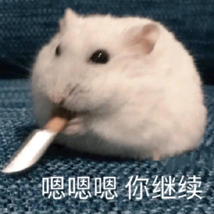 仓鼠表情包合集来啦，斗图用它准没错