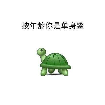 别总说自己是单身狗啦