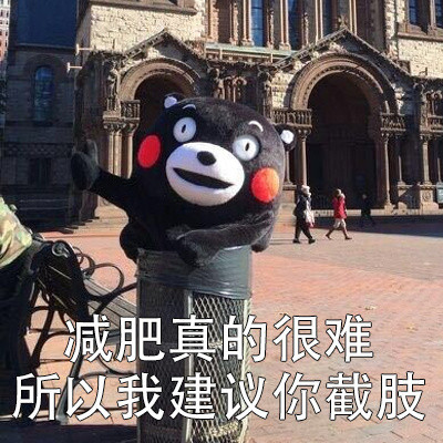 熊本熊版吐槽小建议表情包合集