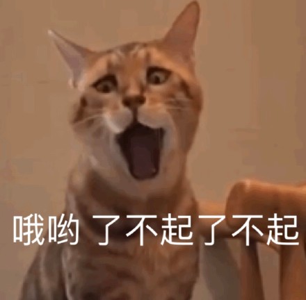 想找软乎乎的斗图素材？这套超萌喵星人表情包别错过